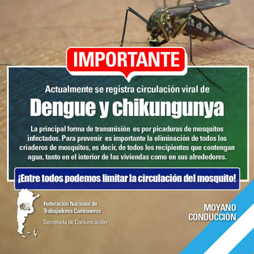 Dengue y Chikungunya